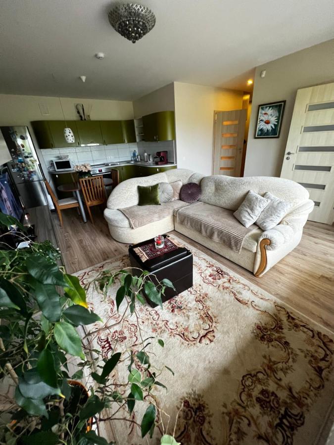 Geliu Apartamentai بالانغا المظهر الخارجي الصورة